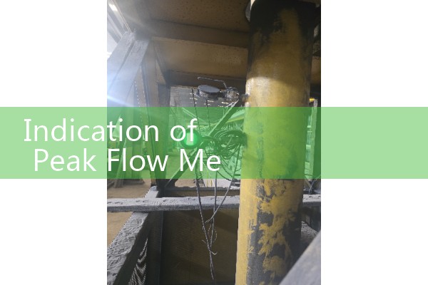 Indication of Peak Flow Meter: Clinical Guidelines for Asthma Management and Airway Monitoring